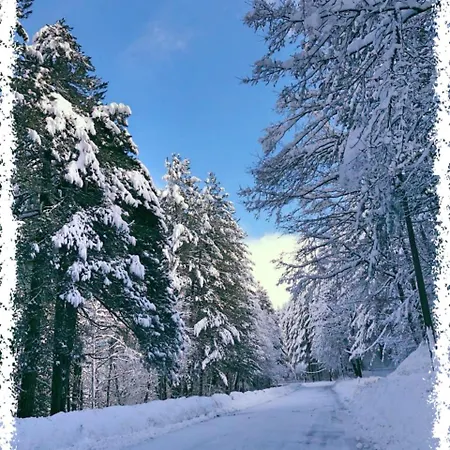 La Montanara 3*